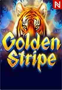 Golden Stripe